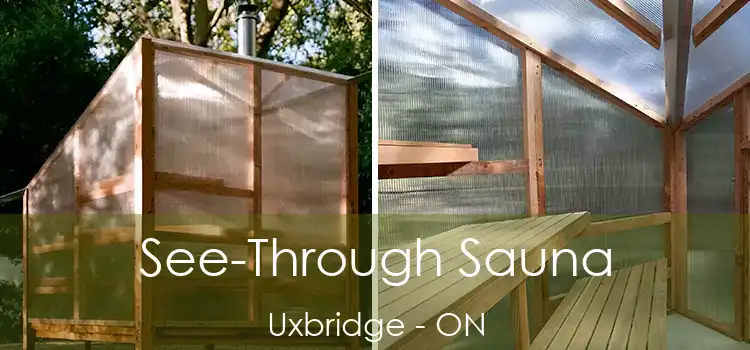  See-Through Sauna Uxbridge - ON